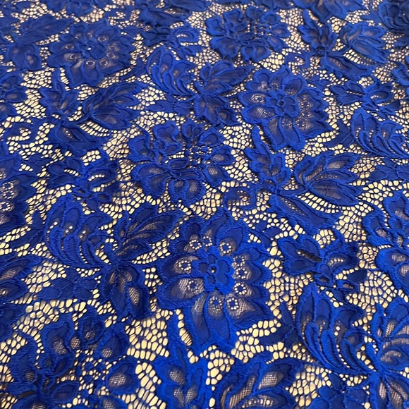 Betsy & Adam royal blue lace long evening gown black tie gala form fitting sz 0 - Picture 6 of 15